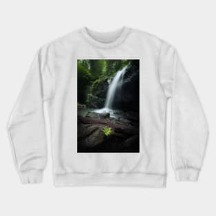 Waterfall and fern in forest Crewneck Sweatshirt